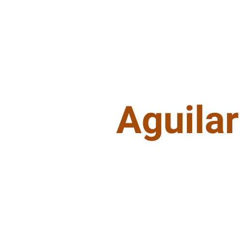 efrainaguilar.com